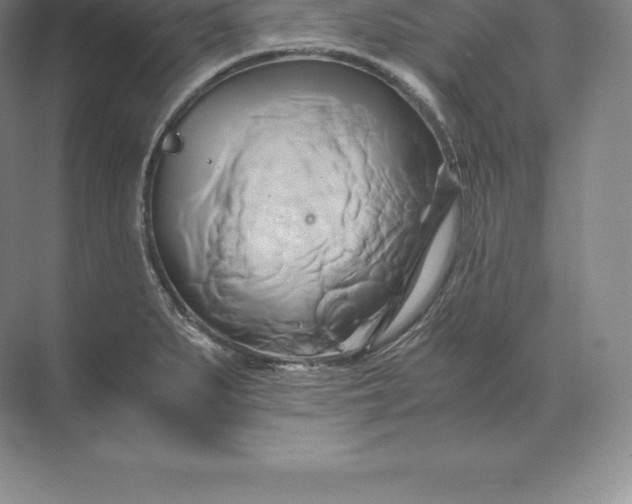 X0000071381279200607071832