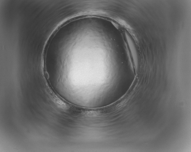 X0000071381280200607071832