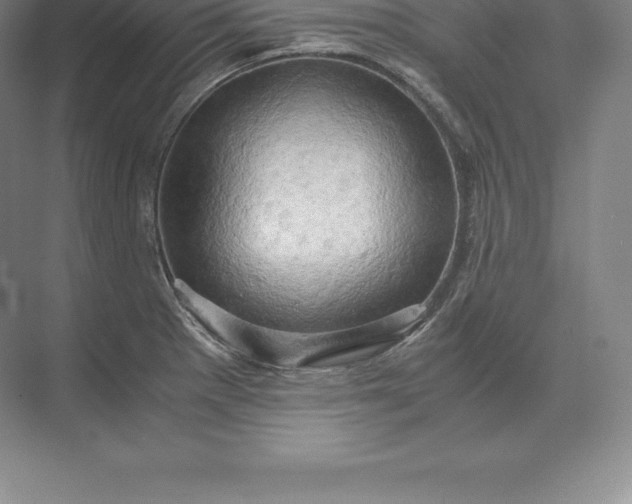 X0000071381281200607071832