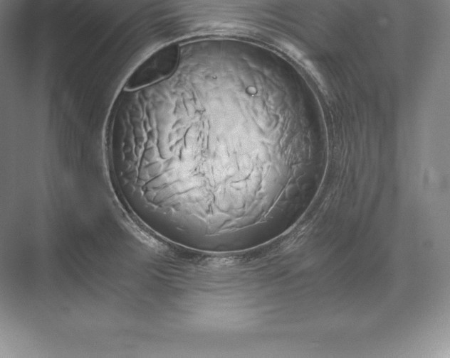 X0000071381283200607071832