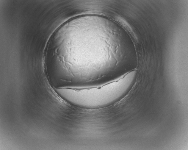 X0000071381284200607071832