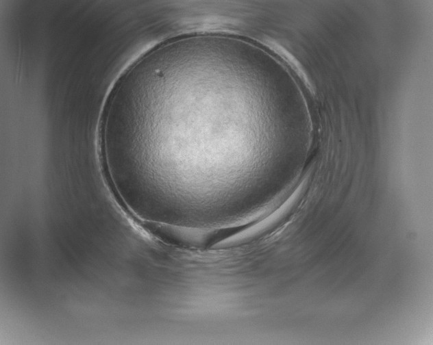 X0000071381285200607071832