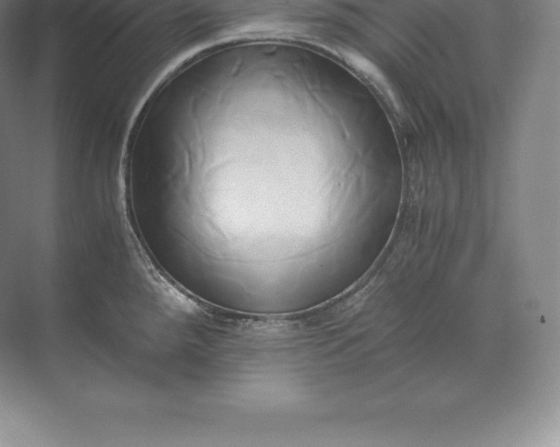 X0000071381288200607071832