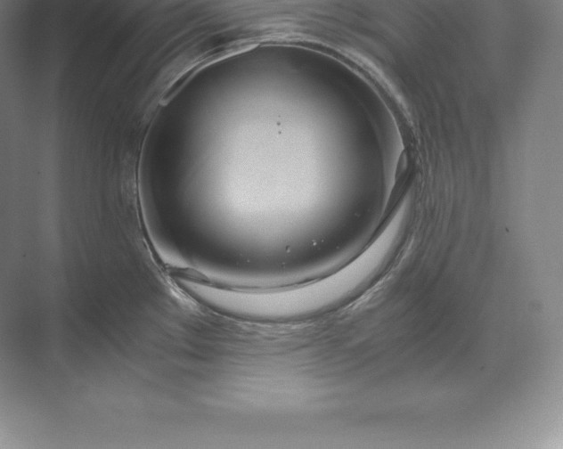 X0000071381289200607071832