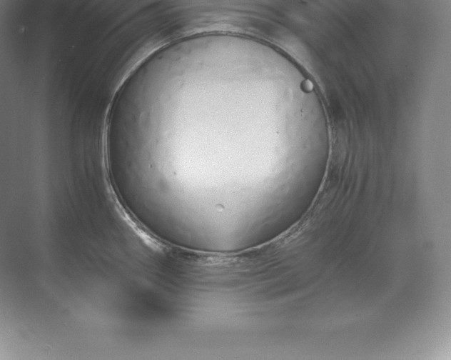 X0000071381290200607071832