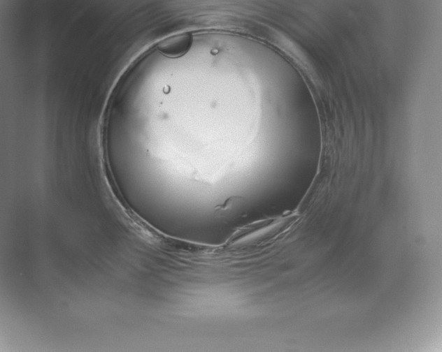 X0000071381291200607071832