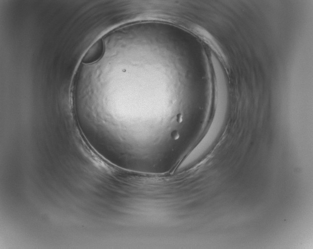 X0000071381292200607071832