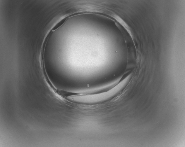 X0000071381293200607071832