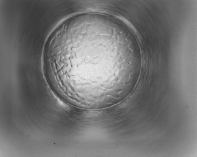 X0000071381294200607071832