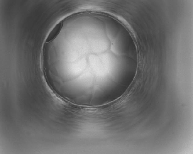 X0000071381295200607071832