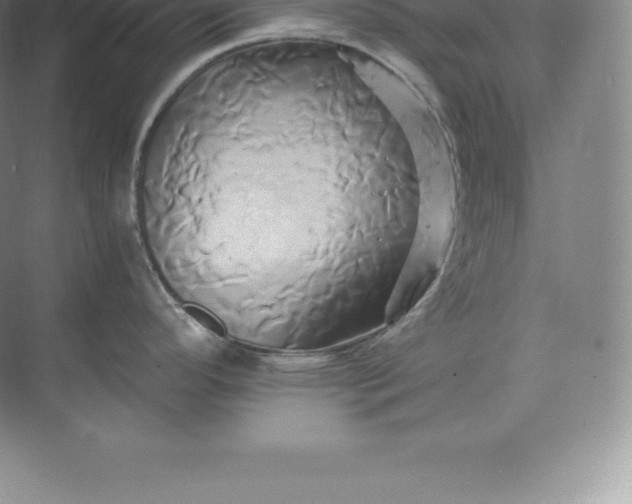 X0000071381296200607071832