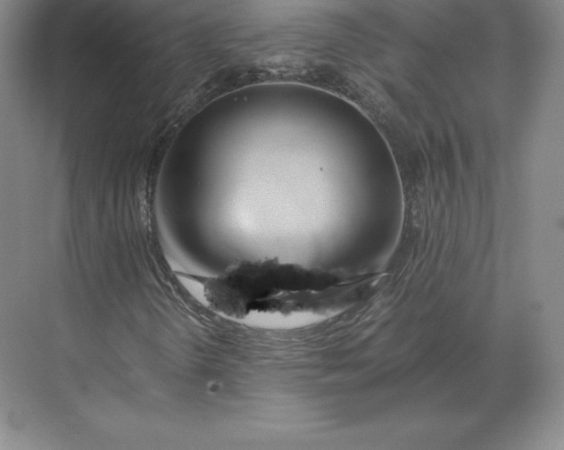 X0000071381298200607071831