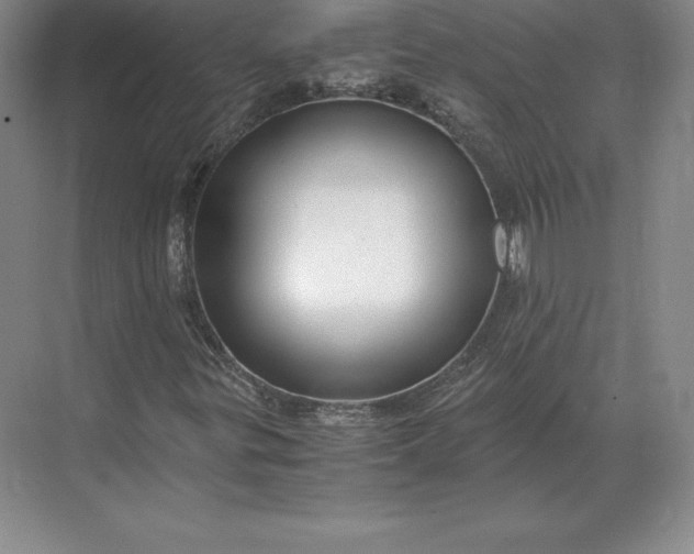 X0000071381299200607071831