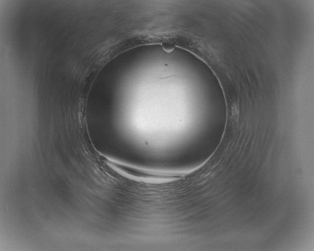 X0000071381300200607071831