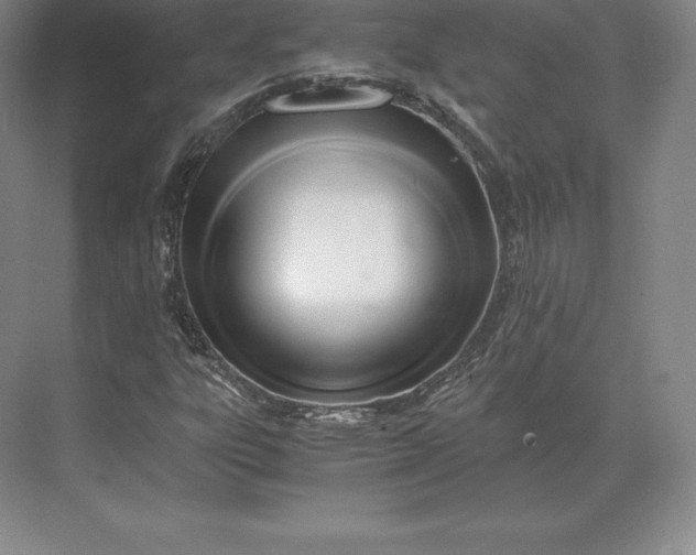 X0000071381303200607071831