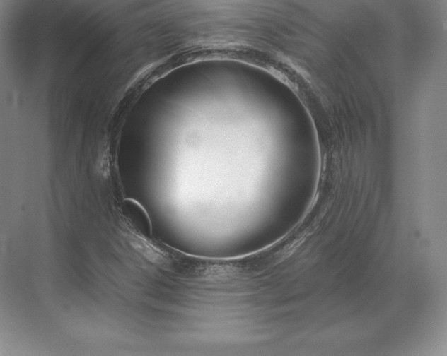 X0000071381306200607071831