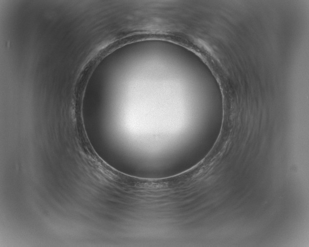 X0000071381307200607071831