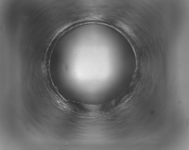 X0000071381308200607071831