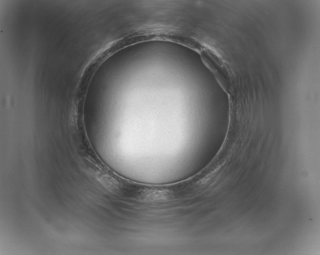 X0000071381309200607071831