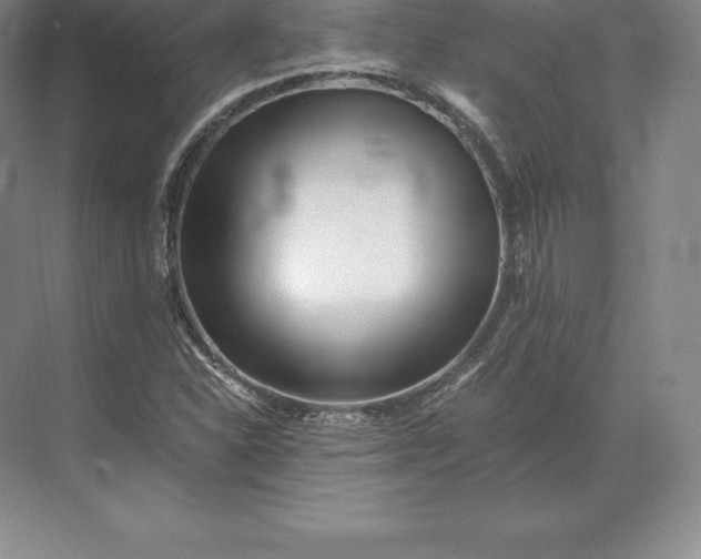 X0000071381310200607071831