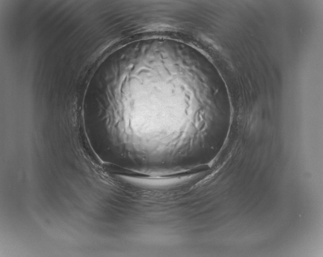 X0000071381313200607071831