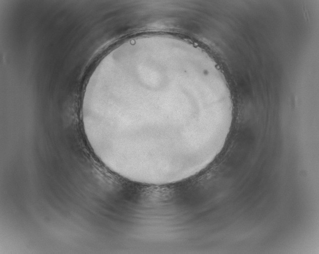 X0000071381314200607071831