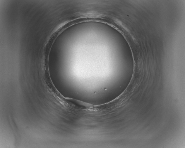 X0000071381315200607071831