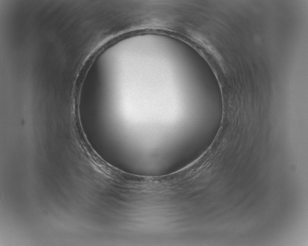 X0000071381316200607071831