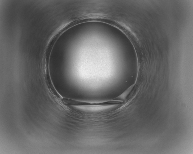 X0000071381317200607071831