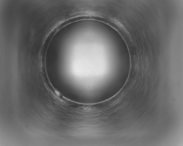 X0000071381318200607071831