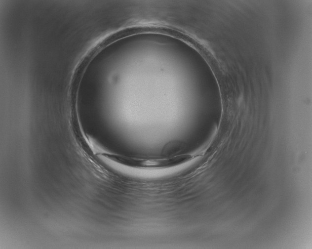 X0000071381319200607071831