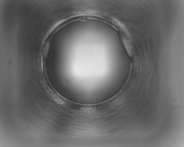 X0000071381320200607071831