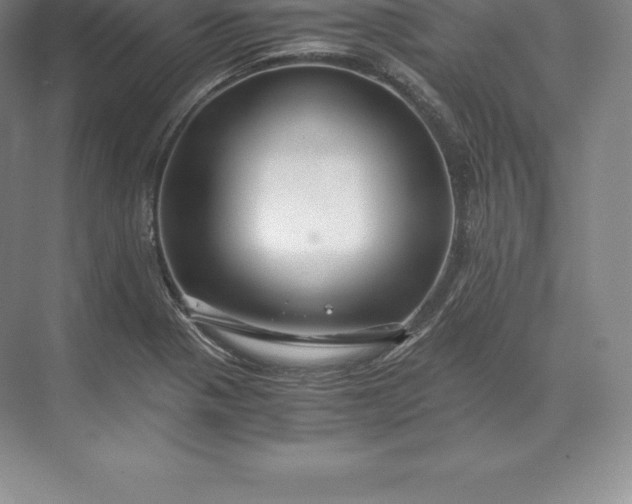 X0000071381321200607071831