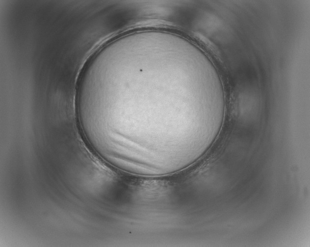 X0000071381322200607071831