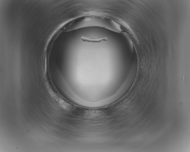 X0000071381323200607071831