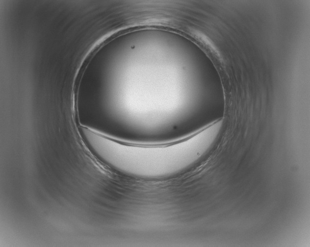 X0000071381324200607071831