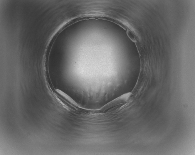 X0000071381325200607071831