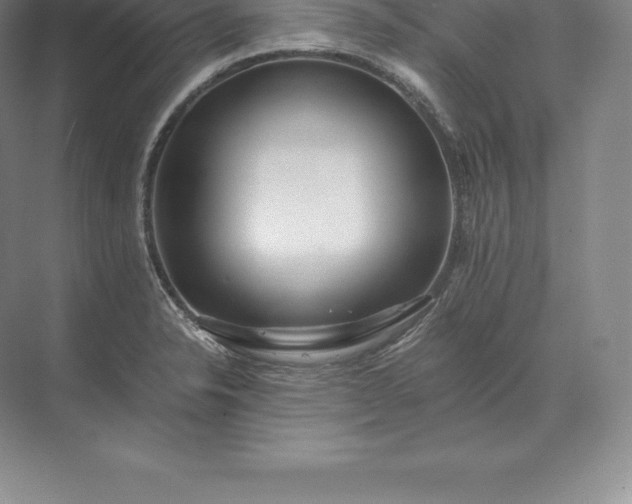 X0000071381326200607071831