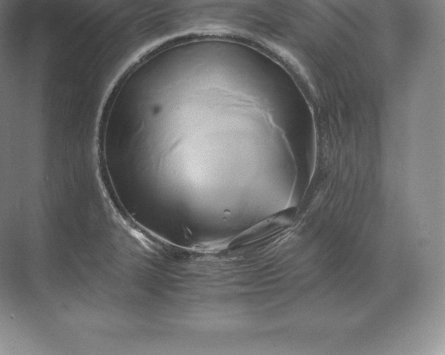 X0000071381327200607071831