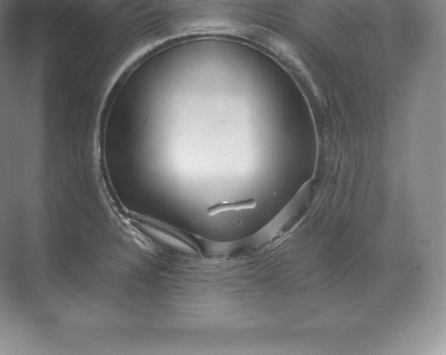 X0000071381328200607071831