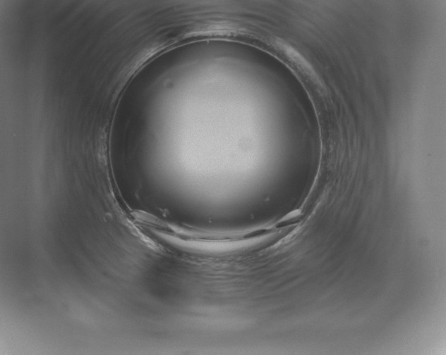 X0000071381329200607071831