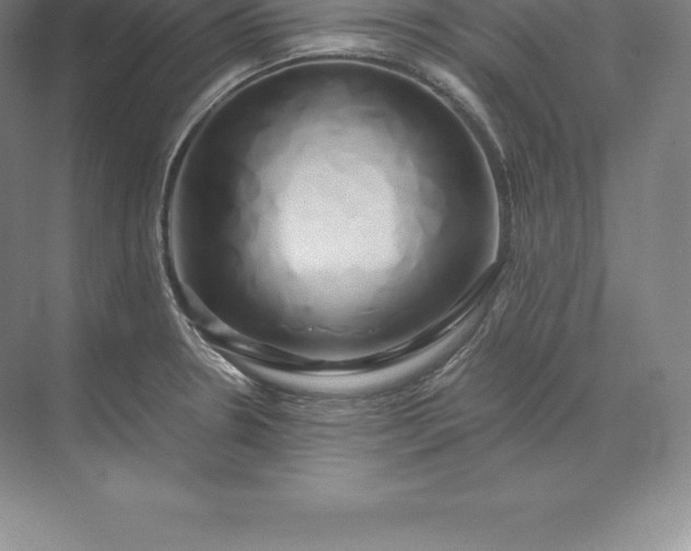 X0000071381330200607071831