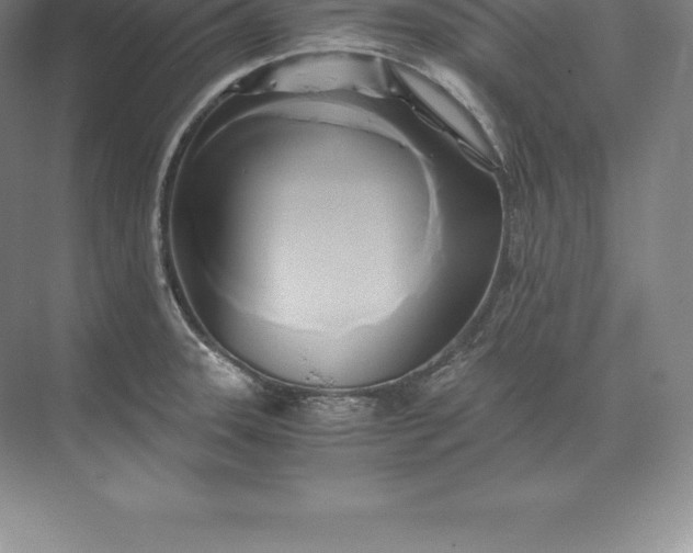 X0000071381331200607071831