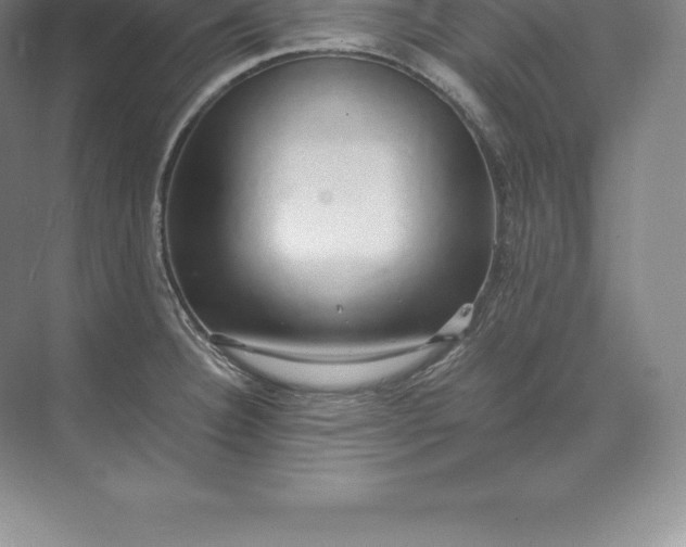 X0000071381332200607071832