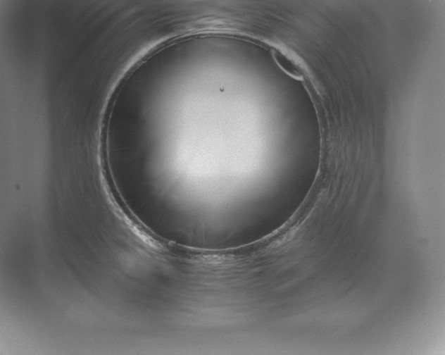 X0000071381333200607071832