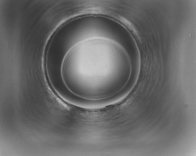 X0000071381334200607071832