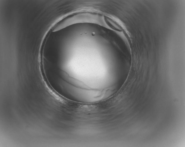 X0000071381335200607071832