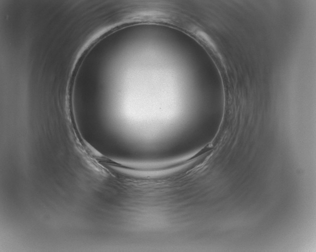 X0000071381336200607071832