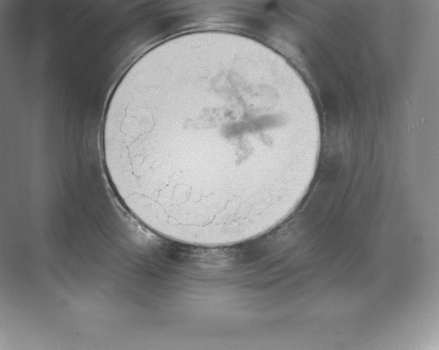 X0000071381338200607071832