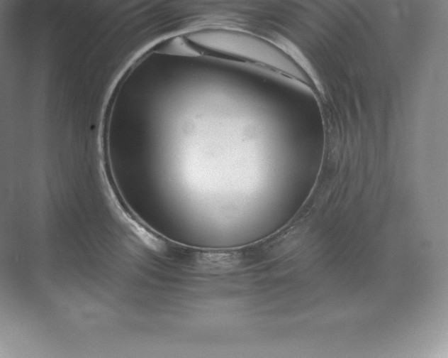 X0000071381339200607071832